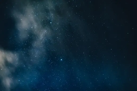 Casino Wicked Jackpots Supporto